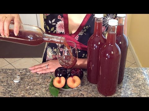 How To Make Plum Wine-Ferment Fruit To Alcohol Recipe