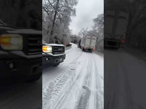 In the bushes looking at the road oh TEXAS SNOW STORM