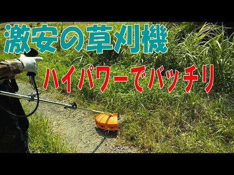 【激安草刈り機】格安でハイパワーのエンジン草刈り機を試しに買ってみました （2つに分割できる WEIMALL 草刈り機 43cc）