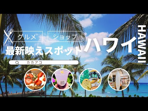 【ハワイ・カカアコ】絶対行きたい！最新映えスポット！美味しいグルメ&お洒落ショップ巡り