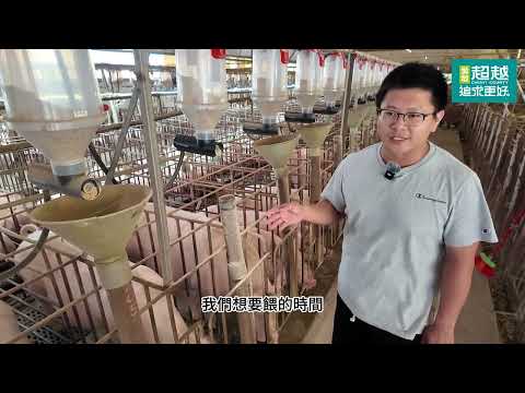 科技助力養豬場-母豬智慧化餵飼與小豬安全的革新