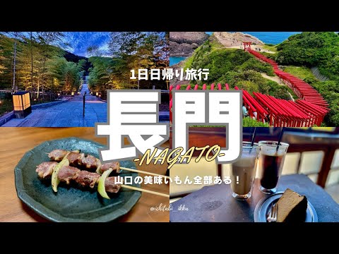 【山口旅行-長門編-】観光とグルメと日帰り温泉満喫旅行-2024- / 元乃隅神社 / センザキッチン / 長門湯本温泉 / cafe＆shop Tre / さくら食堂 / 日帰り温泉 /