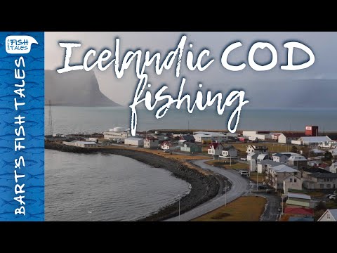 Icelandic Cod Fishing | Bart van Olphen