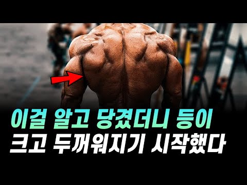 이렇게 당기면 상체 등 근육 프레임이 펼쳐집니다 (feat. 원암덤벨로우)