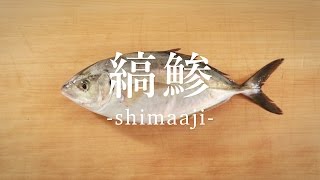 縞鯵（しまあじ）のさばき方 - How to filet White Trevally -｜日本さばけるプロジェクト（海と日本プロジェクト）