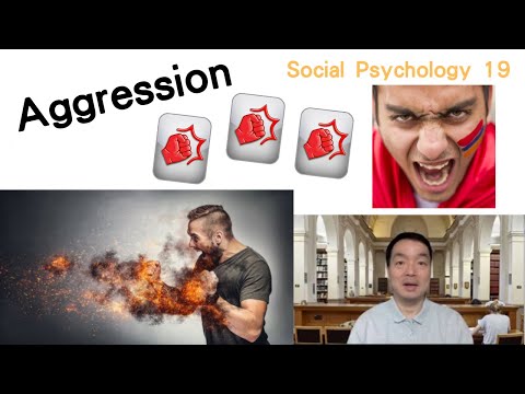 (Eng) Social Psychology 19: Aggression #aggression #frustration  #frustrationaggressionhypothesis