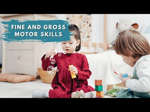 Fine and Gross Motor Skills