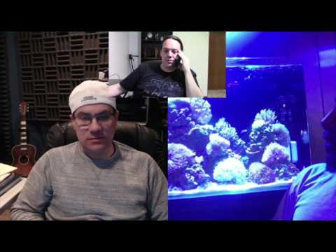 Reef Talk saltwater all in one tank or sump with CJ's Aquariums PT1