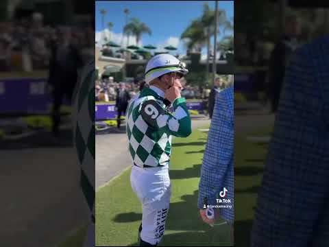 Immaculate Vibes at the Breeders' Cup