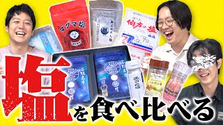 【しおしお】しょっぱさ限界突破！お塩をい〜〜っぱい食べ比べるぞい！！