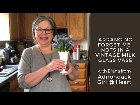 Arranging Forget me nots in a vintage milk glass vase