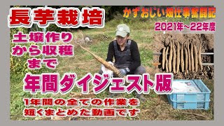 長芋栽培の１年間の作業ダイジェスト版：土壌作りから収穫まで～2022年度までの映像より（長芋栽培）農作業に挑戦中！私の野菜栽培記録