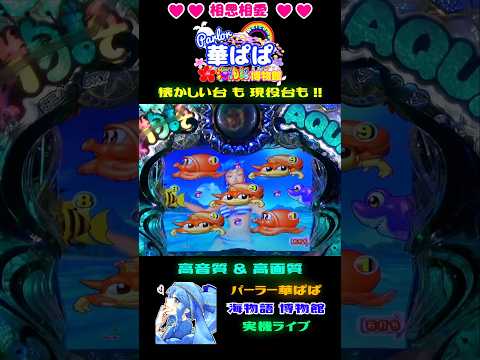 💋おめでと～！チュッ💋💙魅惑の投げキッス💙🚤海物語AQUA・ウェイクボードリーチ🚤今日も💙相思相愛💙vol.197【 パーラー華ぱぱ・海物語 博物館 】ショート動画 #shorts #ワリン様