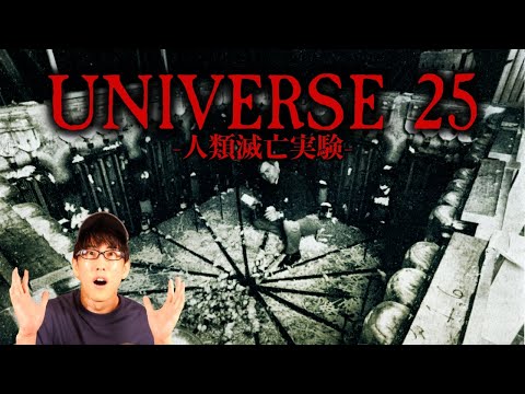 What is UNIVERSE 25, an experiment that could mean the Human Extinction? (deep dive)