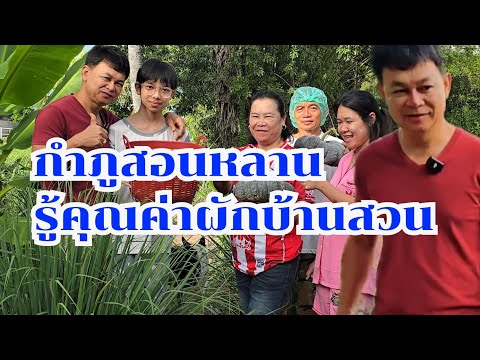 กำภูสอนหลาน รู้คุณค่าผักบ้านสวน #บ้านสวนกำภูEp1139