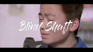 Blind Shaft 真实故事改编 王宝强 初出道即巅峰 故事反映了当时社会人们被利益金钱泯灭了良心 谋害同乡骗取抚恤金的社会现象