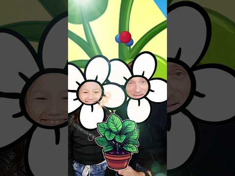 Flowers, Chlorophyll and Photosynthesis | Fun Science | STEM with Ailani's Little World