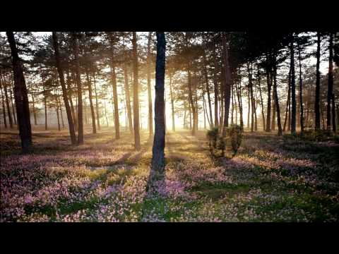 CMA - Constant Changes (Melodic Dubstep)