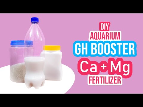 DIY Calcium-Magnesium Fertilizer for Aquarium Plants (GH Booster) ☘️