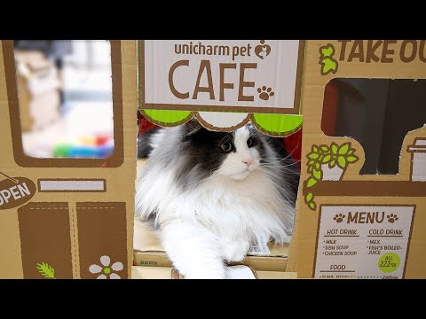 「猫咪咖啡馆」系列之【蛋黄流心西多士】【港式奶茶】Cat‘s Cafe  【French toast】【HK Style Milk Tea】ネコのコーヒーショップ　「フレンチトースト」「ミルクティー」