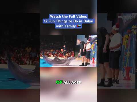 🇦🇪 Experience Fun and Education at Dubai Dolphinarium | Dolphins in Dubai