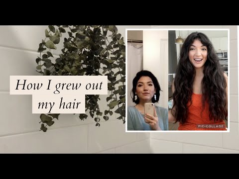 HAIR TRANSFORMATION | How I grew out my hair naturally WITHOUT supplements!!