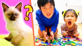 こたくんみのちゃんかわいい子猫を上手にお世話できるかな？