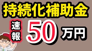 【速報】１人社長も対象・持続化補助金２５０万円詳細判明・小規模事業者持続的発展支援事業【中小企業診断士・行政書士 マキノヤ先生】第2012回