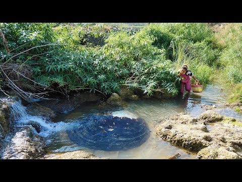 Clams hide here to flush water, and the washed pearls are particularly beautiful and charming