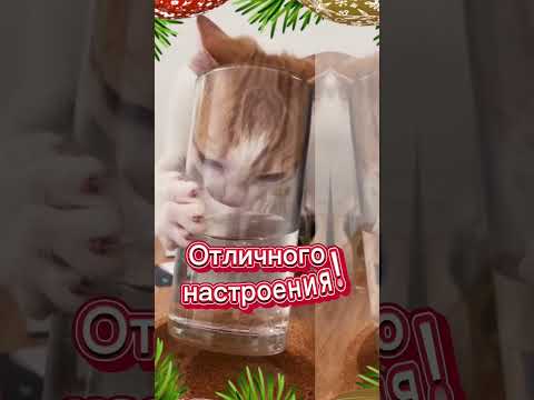 С добрым утром января!