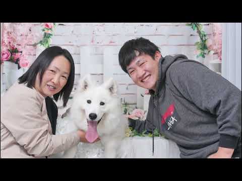 生きる喜びを教えてくれる愛犬たち