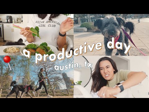 🌵 A Productive Day in My Life Vlog | living in Austin with ✌🏼 dogs