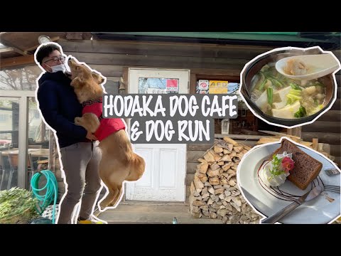 DOG CAFE in Japan | Hodaka