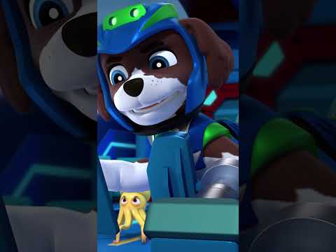 Pups team up with Sea Creatures to save the Patroller! #pawpatrol #shorts