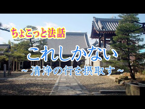 ちょこっと法話「これしかない～清浄の行を摂取す～」