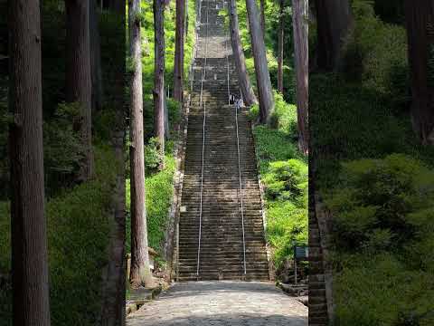 身延山久遠寺 菩提梯 #Short #japan #japantrip #japantravel #trip #travel #landscape