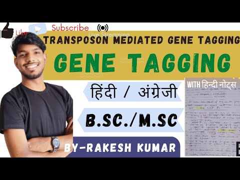 transposon mediated gene tagging।gene tagging।transposon mediated gene tagging in hindi #mscbotany