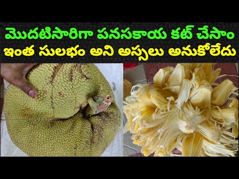 How to cut a jackfruit | Kathal cutting | panasa pandu cutting | amazing jackfruit cutting skills