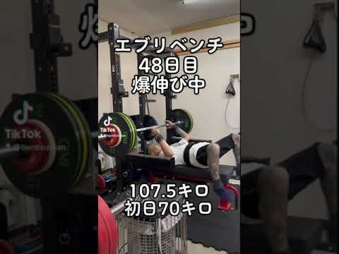 エブリベンチ48日目　爆伸び中　107.5キロ 意識の変化　#ベンチプレス #ベンチプレス100キロ #shorts