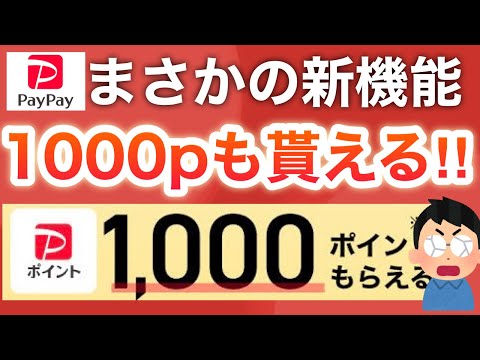 PayPayの激アツ新機能‼︎さらに1000pも…