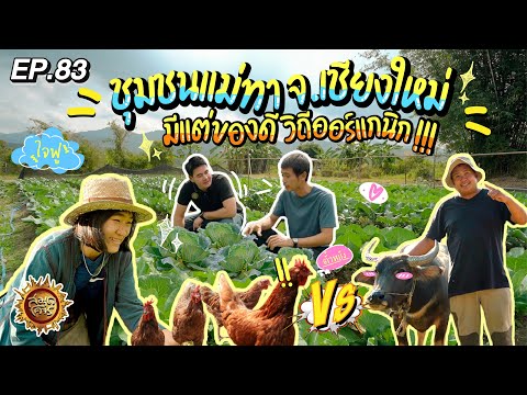 ชุมชนแม่ทา จ.เชียงใหม่ มีแต่ของดีวิถีออร์แกนิก | สมุดโคจร EP.83 | 11.02.67 [Full]