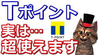 今さら聞けないTポイント賢い使い道！【PayPayポイント・ウエルシア・SBI証券・ANA・JAL・現金化・WAONPOINT】