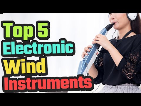 Best Electronic Wind Instruments In 2024