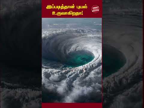 புயல் எப்படி கரையை கடக்கிறது #otr #cyclone#cyclones#cyclonenation