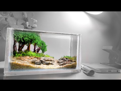 ☘️😱 Creating a Stunning Mini Bonsai Aquascape 🌳