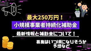 【小規模事業者持続化補助金】250万円もらえる小規模事業者向け補助金の最新情報