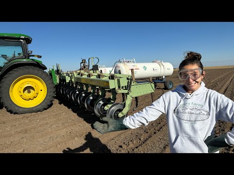 Dangerous Job On The Farm