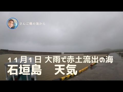 【石垣島天気】11月1日10時ごろ。大雨で赤土が海に流出　15秒でわかる今日の石垣島の様子。