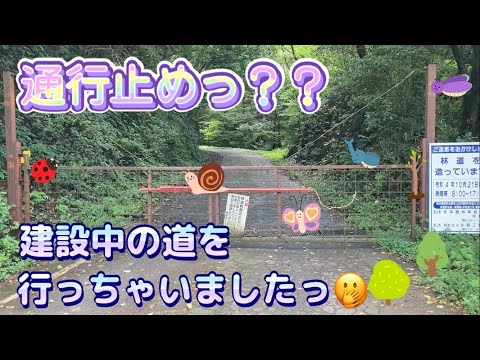 【廃道？未成道？】ゲートで塞がれた道を突破！！その先は・・・？