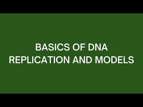 Basics of DNA Replication and Models